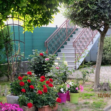 5 Palme Bed & Breakfast Terzo d' Aquileia Exterior photo