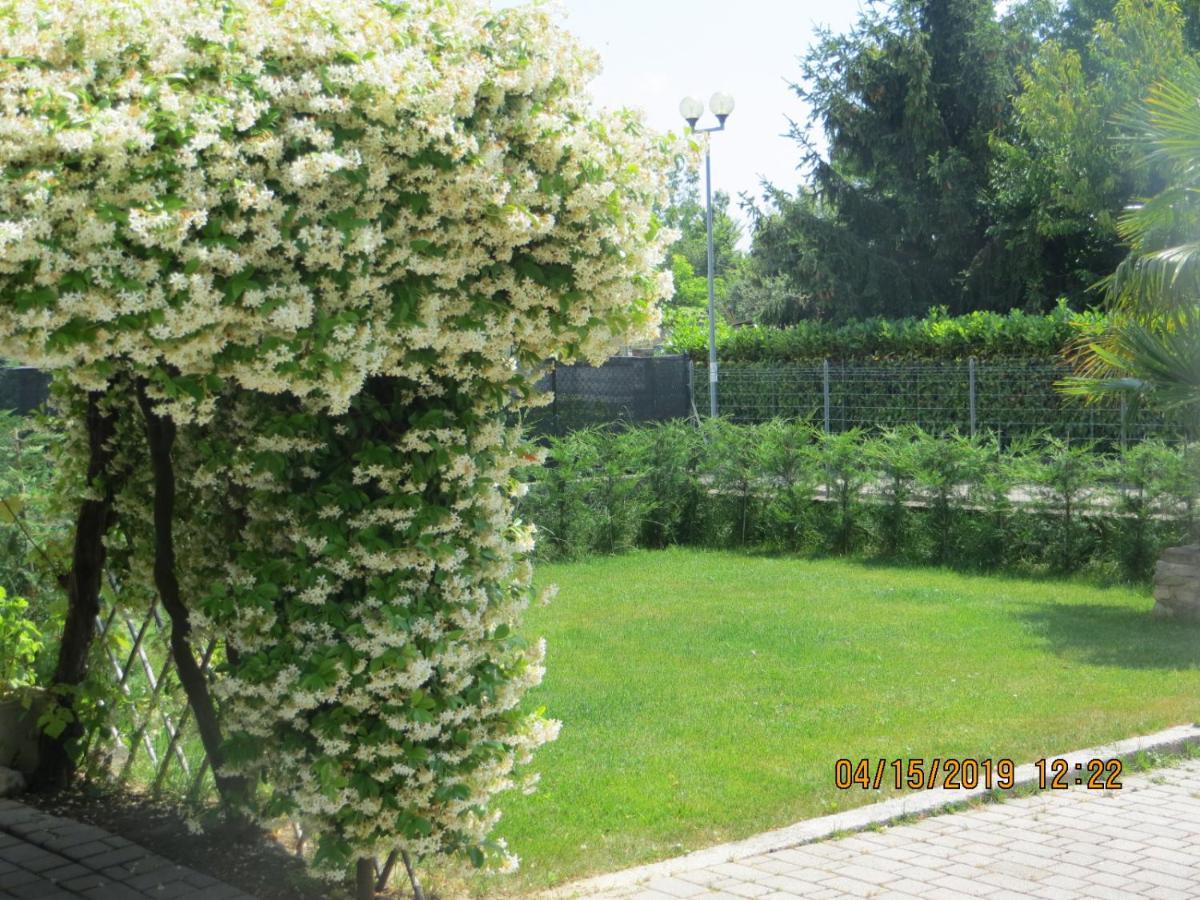 5 Palme Bed & Breakfast Terzo d' Aquileia Exterior photo
