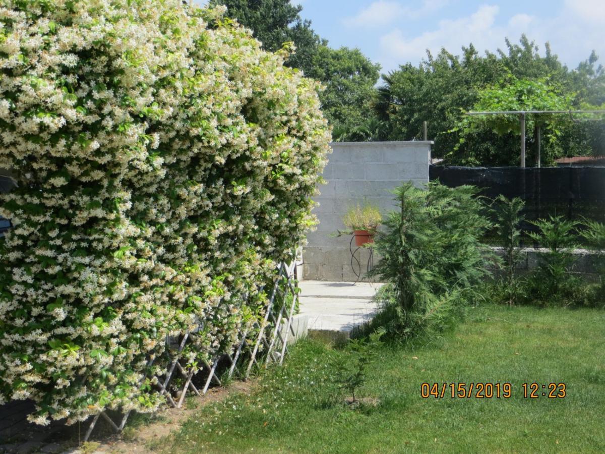 5 Palme Bed & Breakfast Terzo d' Aquileia Exterior photo