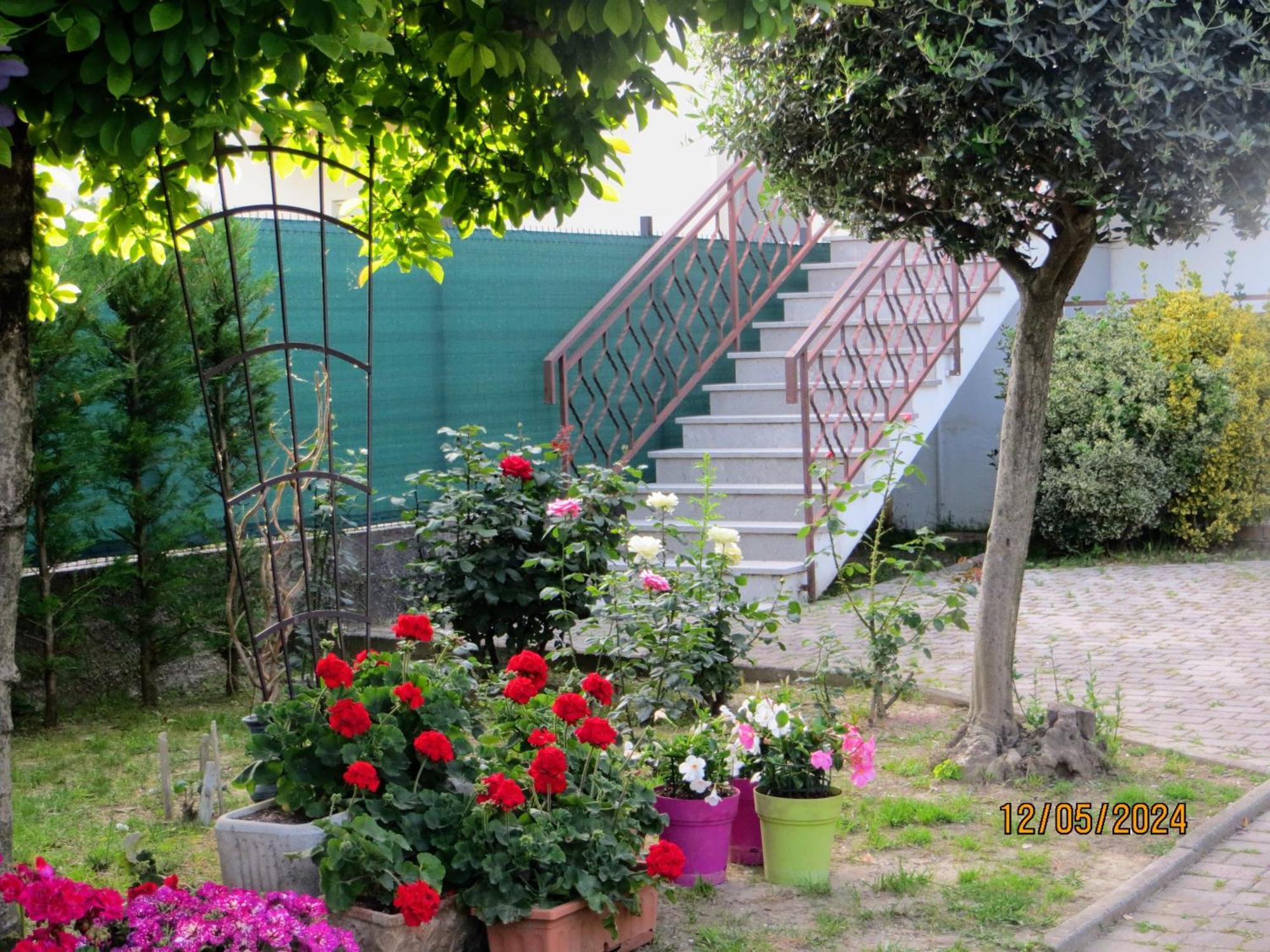 5 Palme Bed & Breakfast Terzo d' Aquileia Exterior photo